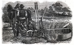 fauchage 1864 tiré d'une gravure