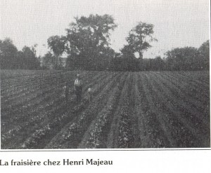 mageau192803