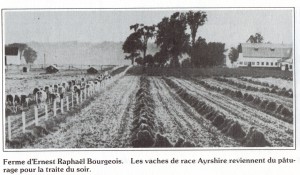 Bourgeois195102
