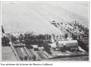 Laliberté196202